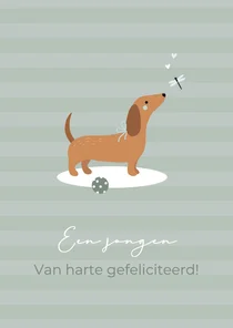 Felicitatie jongen teckel met bal