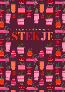 Felicitatie kaart 'een nieuw stekje' retro potjes