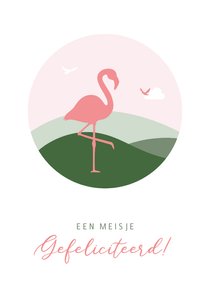 Felicitatie met flamingo in cirkel