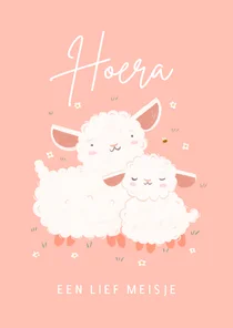 Felicitatie roze geboortekaartje lammetje schaapje en bij