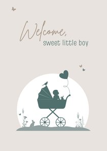 Felicitatie silhouet baby in kinderwagen