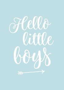 Felicitatie - tweeling hello little boys