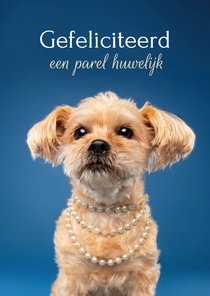 Felicitatiekaart 30 jaar getrouwd van hond met parelketting 