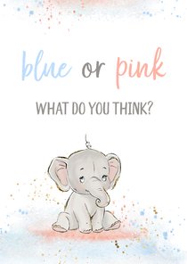 Felicitatiekaart 'blue or pink'