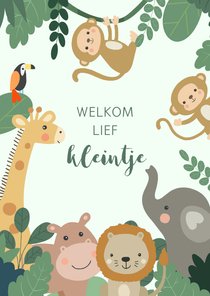 Felicitatiekaart geboorte - baby jungle dieren