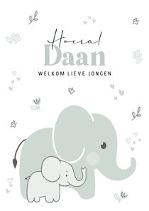 Felicitatiekaart geboorte - baby olifant met mama