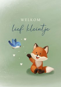 Felicitatiekaart geboorte jongen met vosje en vogel