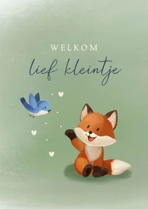 Felicitatiekaart geboorte jongen met vosje en vogel