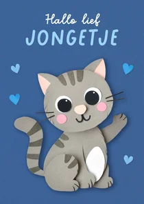Felicitatiekaart geboorte lieve kitten jongen
