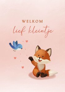 Felicitatiekaart geboorte meisje met vosje en vogel