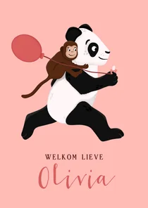 Felicitatiekaart geboorte meisje - pandabeer