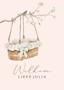 Felicitatiekaart geboorte rotan wiegje baby