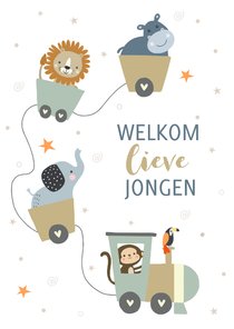 Felicitatiekaart geboorte - treintje jongen