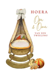 Felicitatiekaart geboorte tweeling opa en oma kaboutertjes