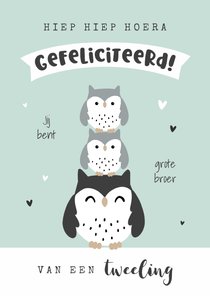 Felicitatiekaart grote broer of zus van een tweeling