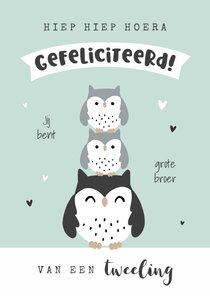 Felicitatiekaart grote broer of zus van een tweeling