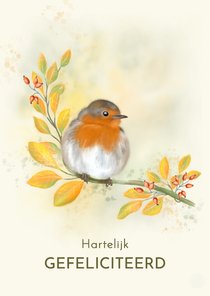 Felicitatiekaart herfstimpressie met roodborst