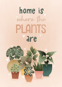 Felicitatiekaart 'home is where the plants are' met plantjes