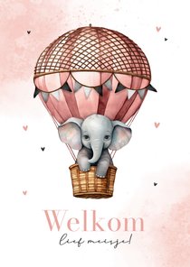 Felicitatiekaart meisje olifantje luchtballon verf