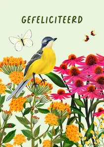 Felicitatiekaart met kwikstaart en vlinder