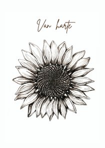 Felicitatiekaart met originele zonnebloem illustratie