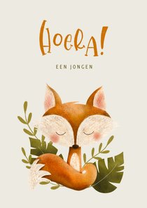 Felicitatiekaart met vosje voor jongen