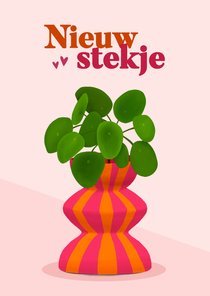 Felicitatiekaart nieuw stekje met plant in moderne pot 