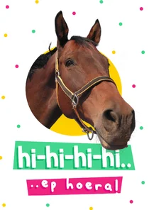 Felicitatiekaart paard hi-hi-hiep hoera met confetti