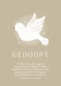Felicitatiekaart volwassen doop duif bijbeltekst