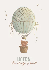 Felicitatiekaart zwanger beertje in luchtballon