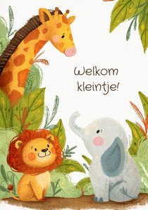 Felicitatiekaartje geboorte dieren jungle thema