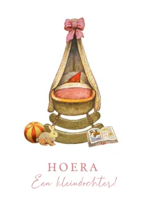 Felicitatiekaartje hoera een kleindochter wiegje kabouter