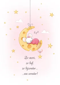 Felicitatiekaartje muisje op kaas maan dochter geboren