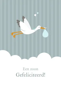 Felicitatiekaartje ooievaar geboorte jongen 