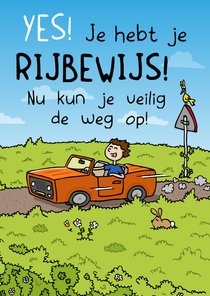 Felicitatiekaartje rijbewijs veilig de weg op