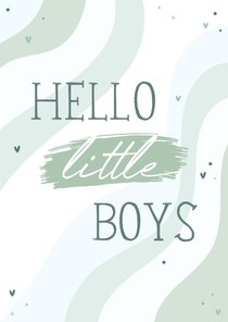 Felicitatiekaartje tweeling hello little boys regenboog