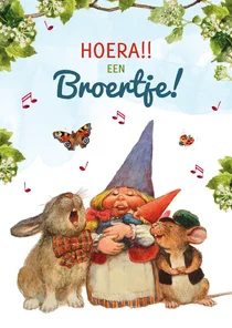 Felicititatiekaart 'Hoera een broertje' kabouter en dieren