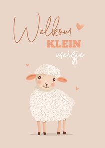 Felicititatiekaart klein lammetje met zachte tinten