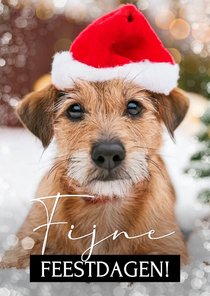 Fotokaart fijne feestdagen met eigen foto huisdier