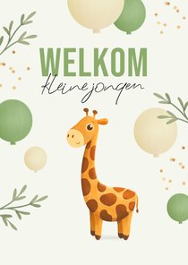 Geboorte felicitatie giraf ballonnen jungle dieren