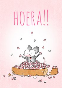 Geboortefelicitatie meisje met beschuit met muisjes roze