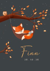 Geboortekaart jongen bosdieren vosje in hangmat in boom