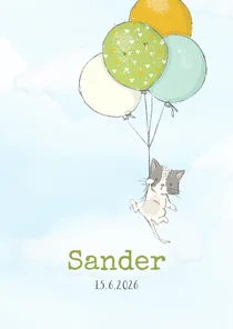 Geboortekaart jongen, kitten en ballonnen