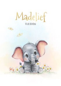 Geboortekaart olifantje met vlindertjes