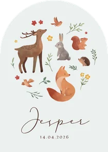 Geboortekaartje boogvorm dieren lente bloemen lief