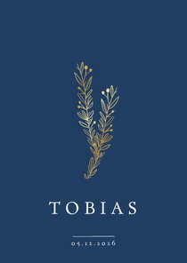 Geboortekaartje jongen klassiek met gouden takjes