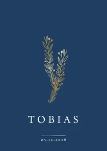 Geboortekaartje jongen klassiek met gouden takjes