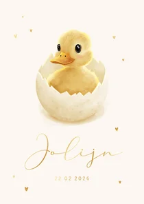 Geboortekaartje kuikentje in ei met goudfolie hartjes
