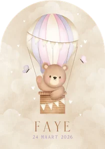 Geboortekaartje lief beertje in luchtballon twee vlinders