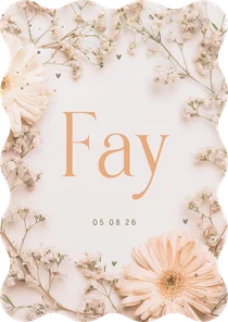 Geboortekaartje meisje gipskruid golfrand gerbera zalmroze